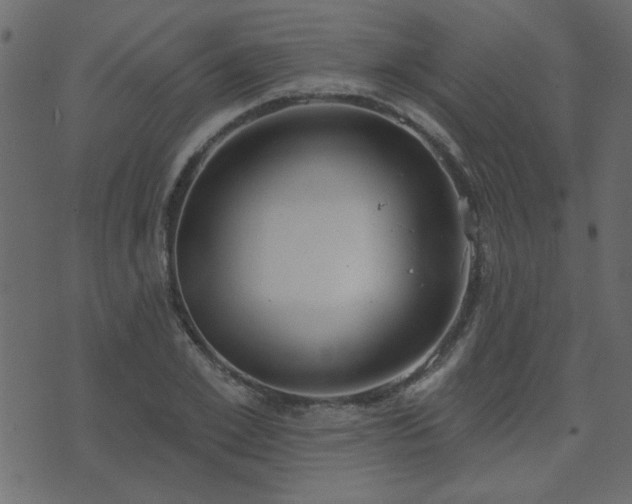 X0000071770981200606301151