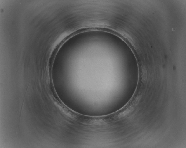 X0000071770982200606301151