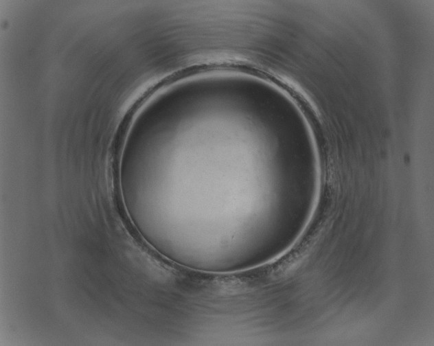 X0000071770983200606301151