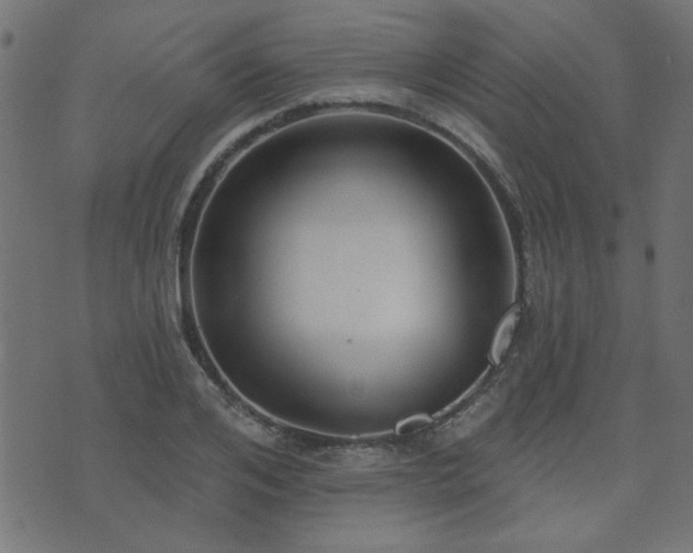 X0000071770984200606301151