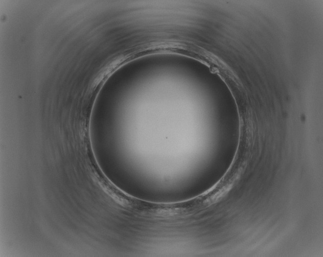 X0000071770985200606301151