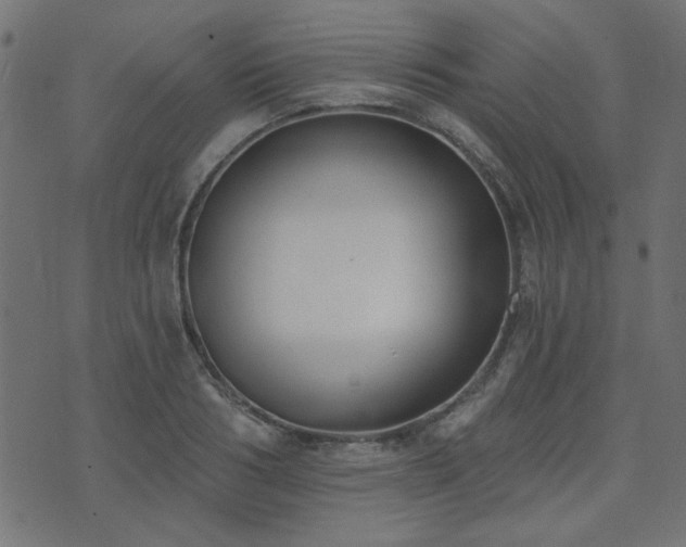 X0000071770986200606301151