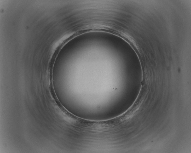 X0000071770987200606301151