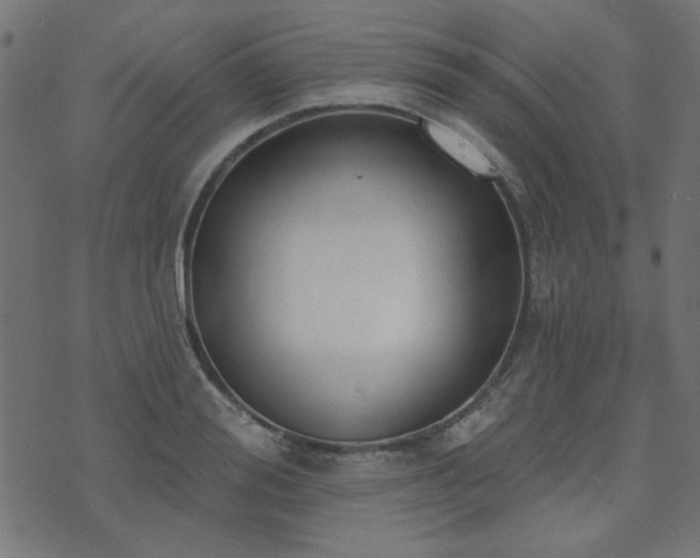 X0000071770988200606301151