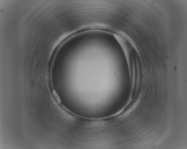 X0000071770989200606301151