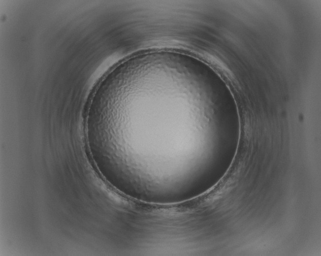 X0000071770990200606301151