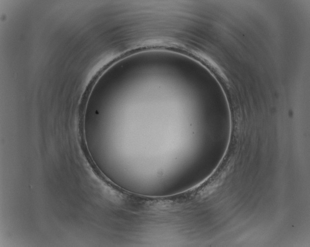 X0000071770991200606301151