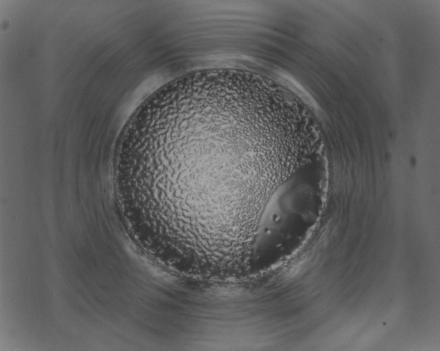 X0000071770994200606301151