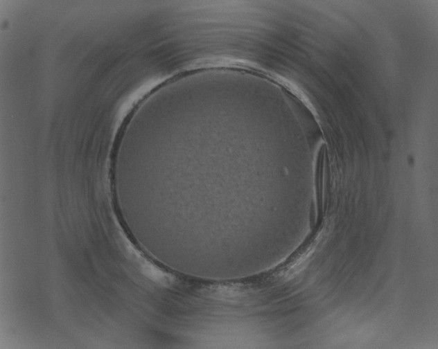 X0000071770995200606301151