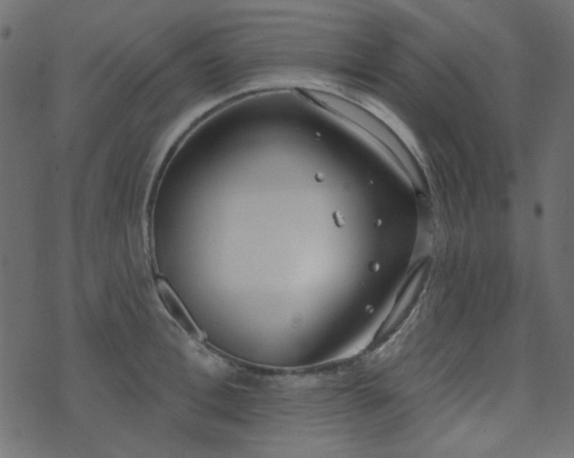 X0000071770996200606301151