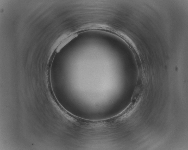 X0000071770997200606301151