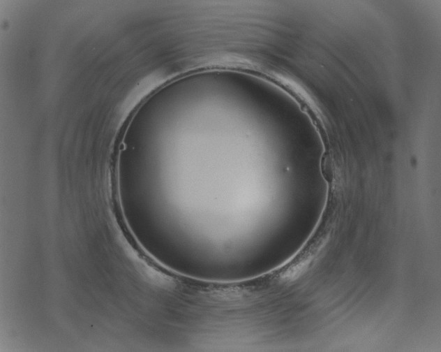 X0000071770999200606301151