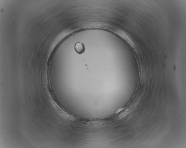 X0000071771000200606301150