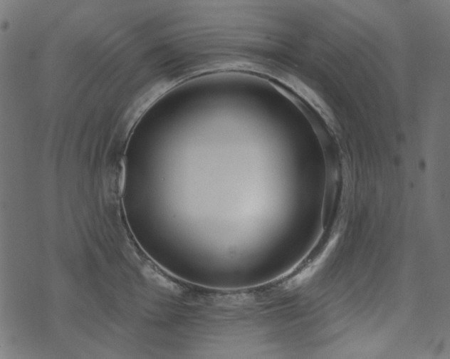 X0000071771001200606301150