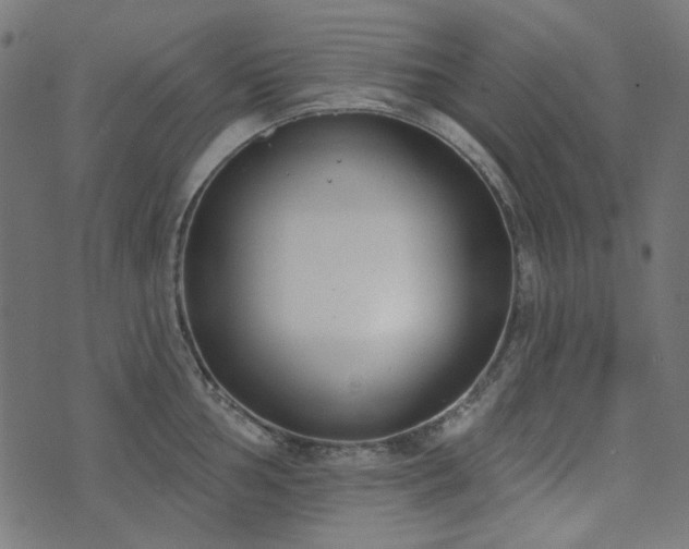 X0000071771002200606301150