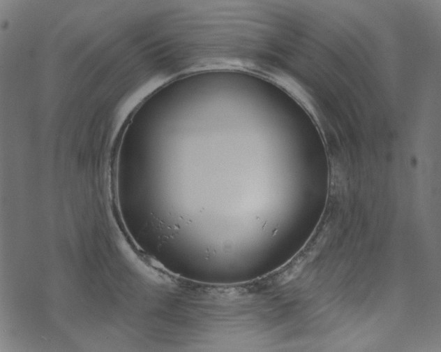 X0000071771003200606301150