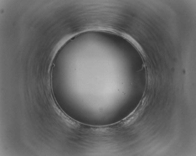 X0000071771004200606301150