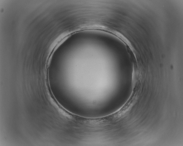 X0000071771005200606301150