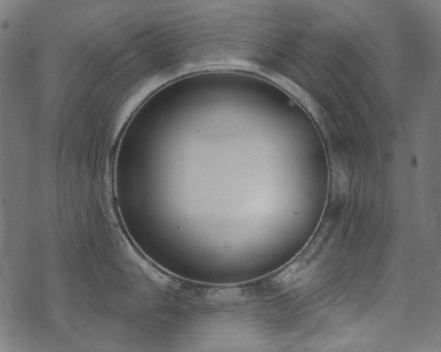 X0000071771006200606301150