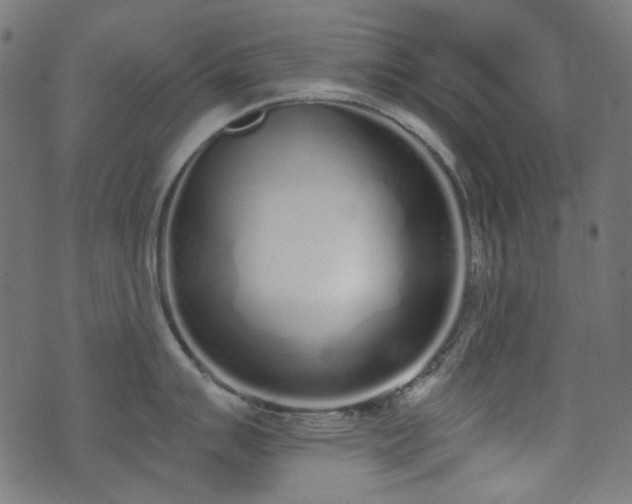 X0000071771007200606301150