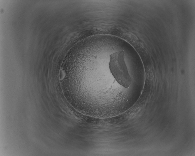 X0000071771009200606301150