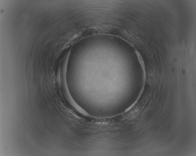 X0000071771010200606301150