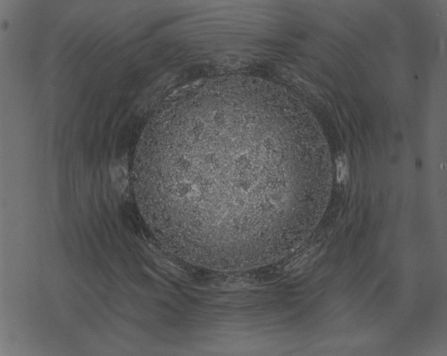 X0000071771011200606301150