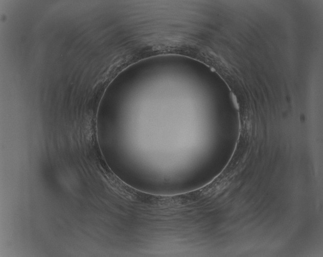 X0000071771012200606301150