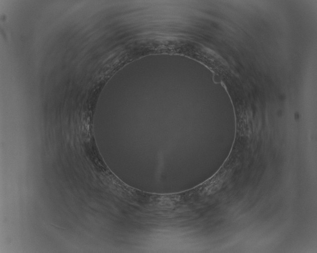 X0000071771013200606301150