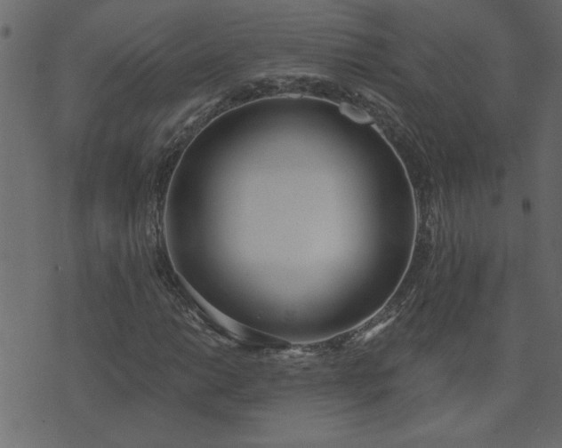 X0000071771014200606301150