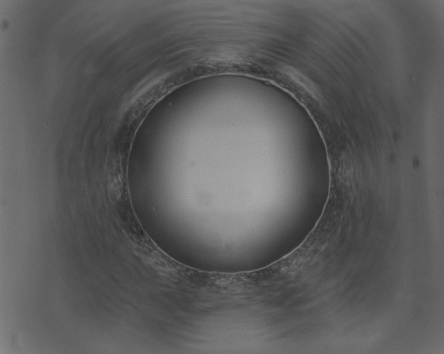 X0000071771015200606301150