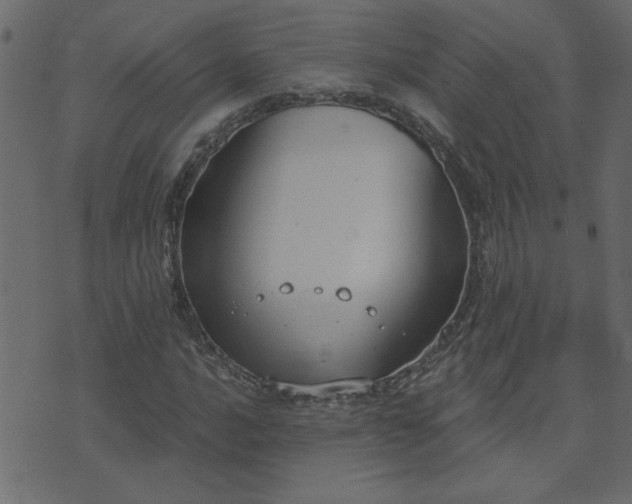 X0000071771016200606301150