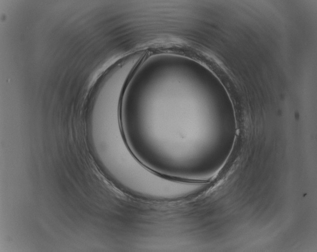 X0000071771018200606301150