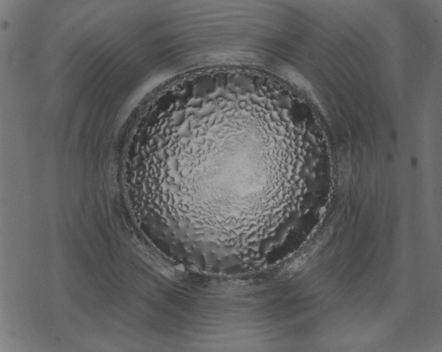 X0000071771019200606301150