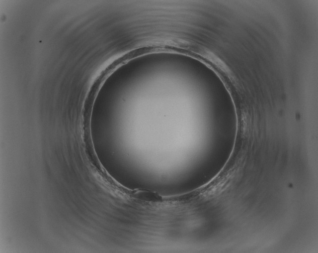 X0000071771020200606301150