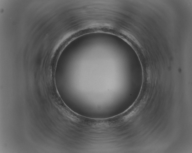 X0000071771021200606301150