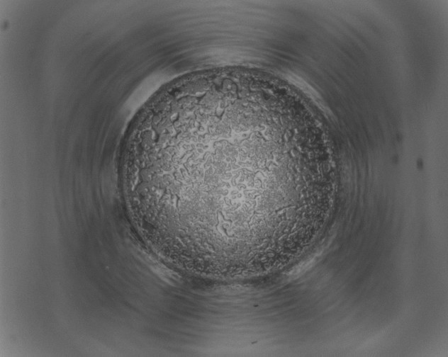 X0000071771023200606301150