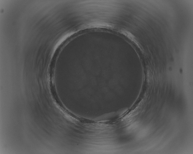 X0000071771024200606301150