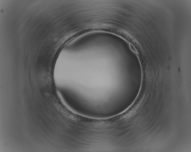 X0000071771025200606301150