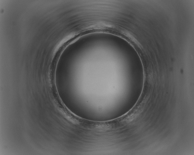 X0000071771026200606301150