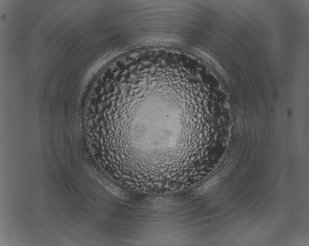 X0000071771027200606301150