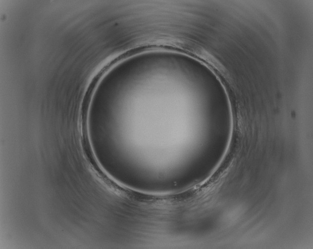 X0000071771028200606301150