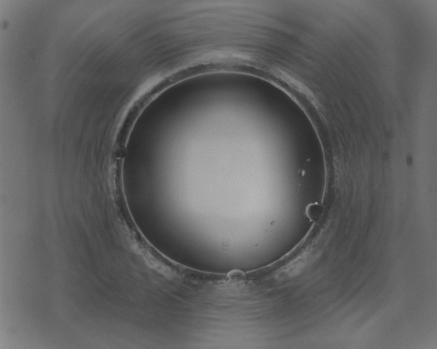 X0000071771029200606301150