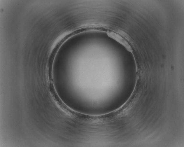 X0000071771030200606301150