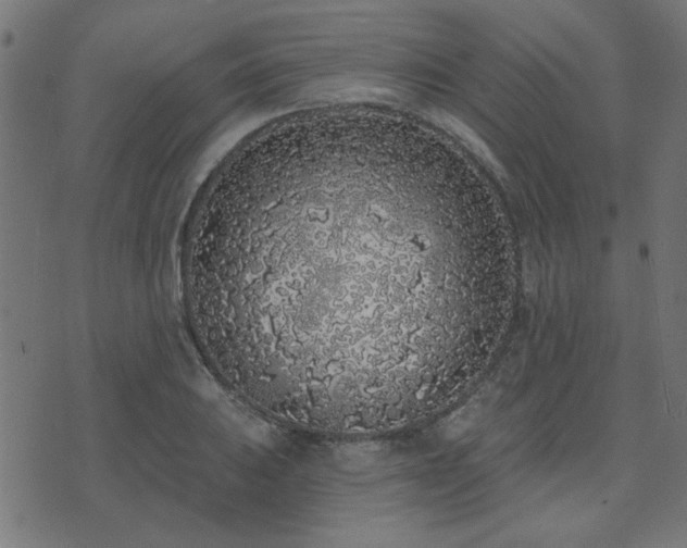 X0000071771031200606301150