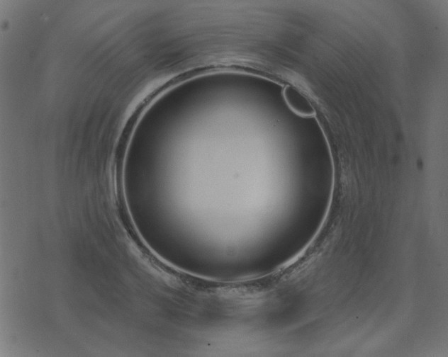 X0000071771032200606301150