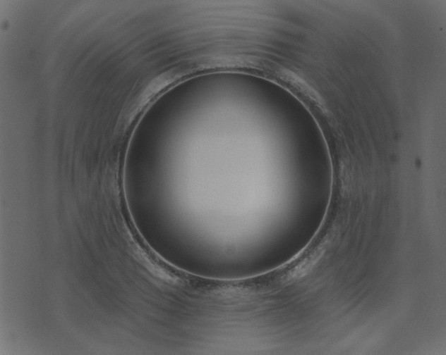 X0000071771033200606301150