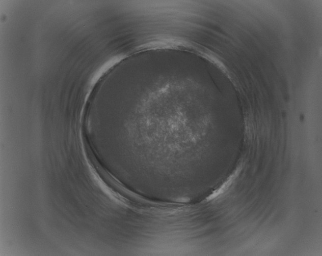 X0000071771034200606301150