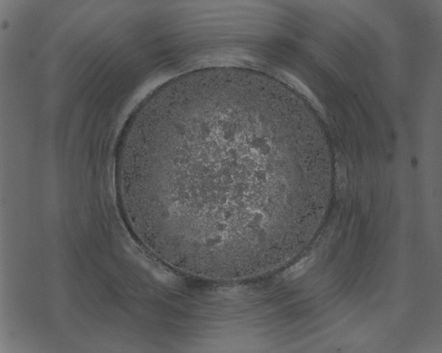 X0000071771035200606301150