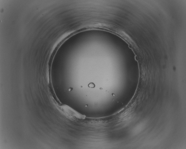 X0000071771036200606301150